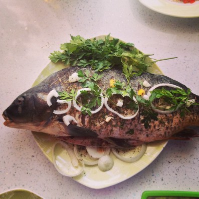 рыба свинья что за рыба. Смотреть фото рыба свинья что за рыба. Смотреть картинку рыба свинья что за рыба. Картинка про рыба свинья что за рыба. Фото рыба свинья что за рыба рыба свинья что за рыба. Смотреть фото рыба свинья что за рыба. Смотреть картинку рыба свинья что за рыба. Картинка про рыба свинья что за рыба. Фото рыба свинья что за рыба